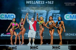 WELLNESS +163